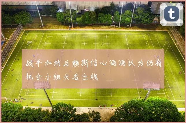 战平加纳后赖斯信心满满认为仍有机会小组头名出线