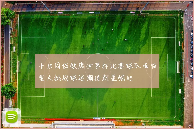 卡尔因伤缺席世界杯比赛球队面临重大挑战球迷期待新星崛起